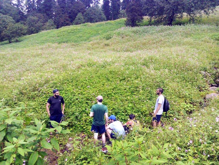 Rani Sui Lake trek in Manali, India